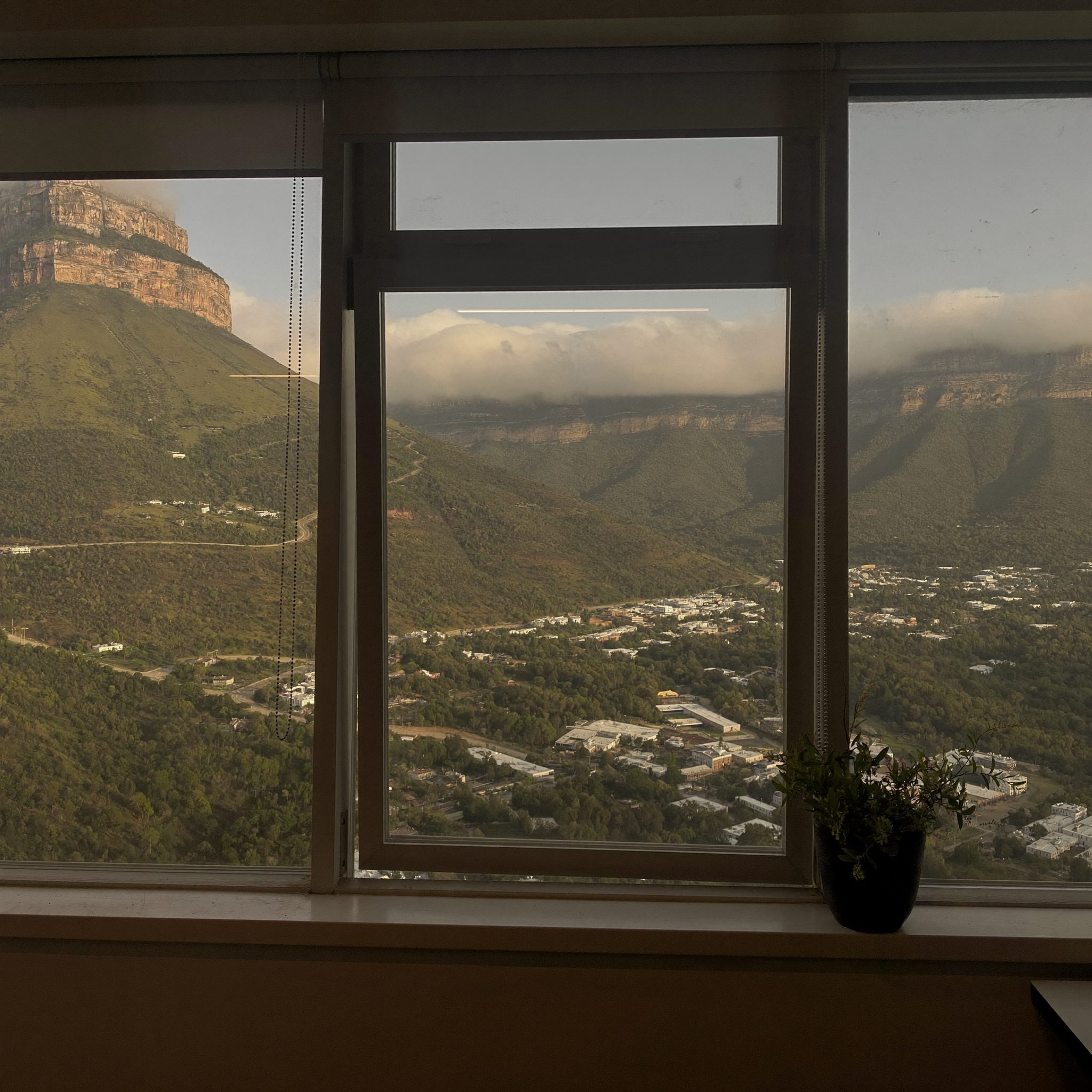 Table Mountain seen from the second-floor office window